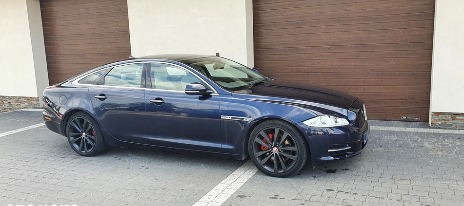 Jaguar XJ cena 40500 przebieg: 182000, rok produkcji 2014 z Kościan małe 379